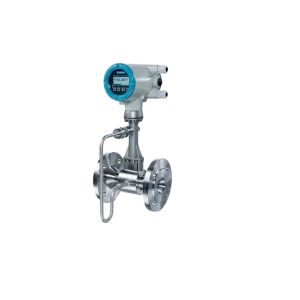 Vortex Flow Measurement